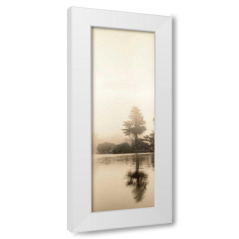 Lakeside Tree - 1 White Modern Wood Framed Art Print by Blaustein, Alan