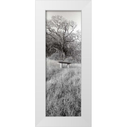 Novato Oak White Modern Wood Framed Art Print by Blaustein, Alan