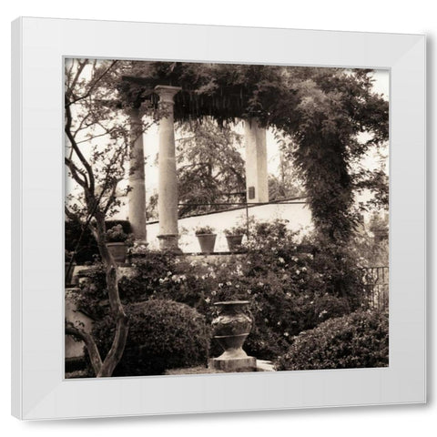 Jardin del Ronda White Modern Wood Framed Art Print by Blaustein, Alan