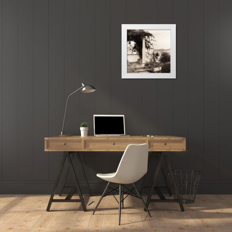 Jardin del Rey Moro White Modern Wood Framed Art Print by Blaustein, Alan