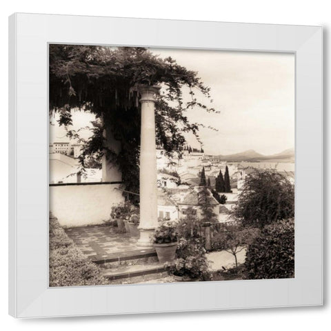 Jardin del Rey Moro White Modern Wood Framed Art Print by Blaustein, Alan