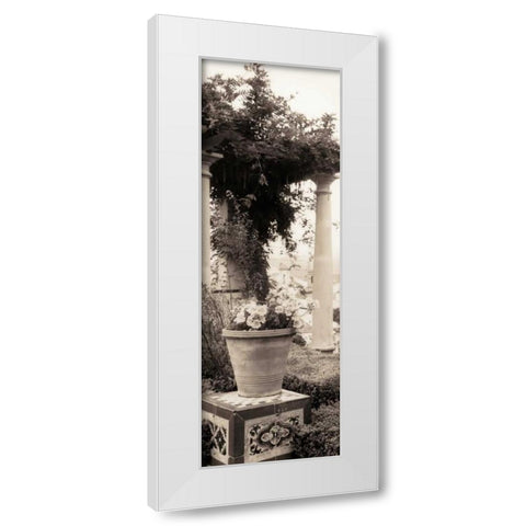 Jardin Botanico White Modern Wood Framed Art Print by Blaustein, Alan