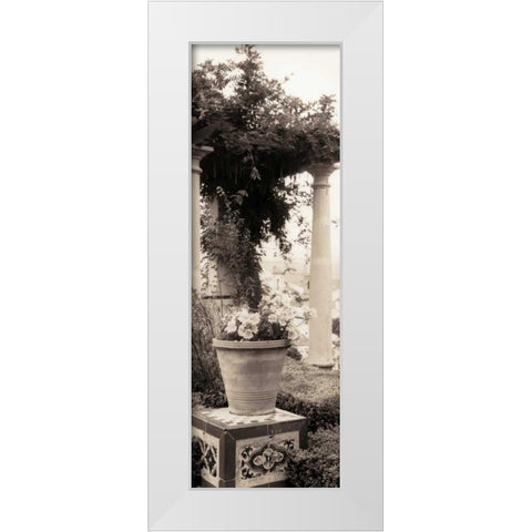 Jardin Botanico White Modern Wood Framed Art Print by Blaustein, Alan