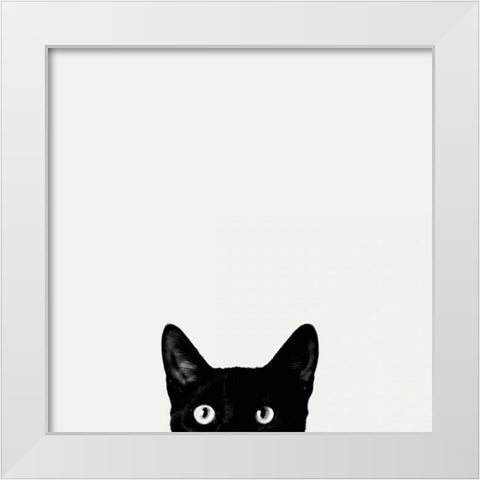 Curiosity White Modern Wood Framed Art Print by Bertelli, Jon