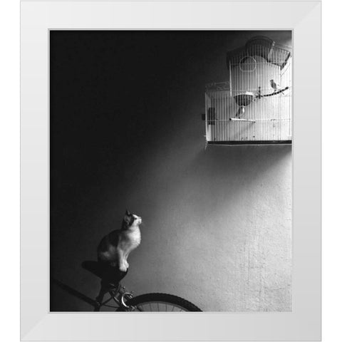 Patience White Modern Wood Framed Art Print by Bertelli, Jon