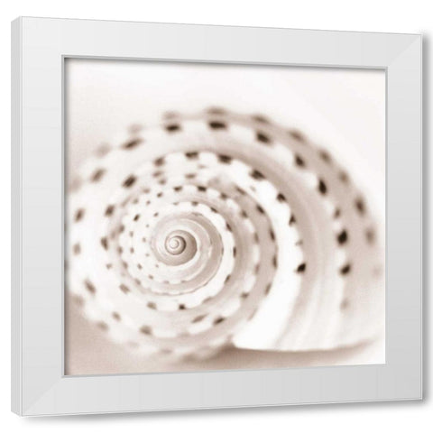 Atlantis 1 White Modern Wood Framed Art Print by Blaustein, Alan