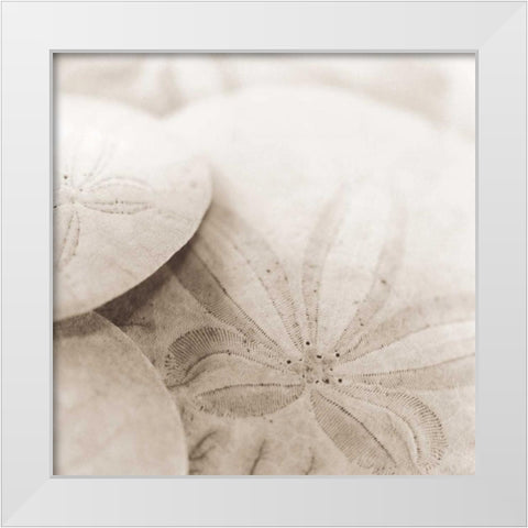 Atlantis 2 White Modern Wood Framed Art Print by Blaustein, Alan