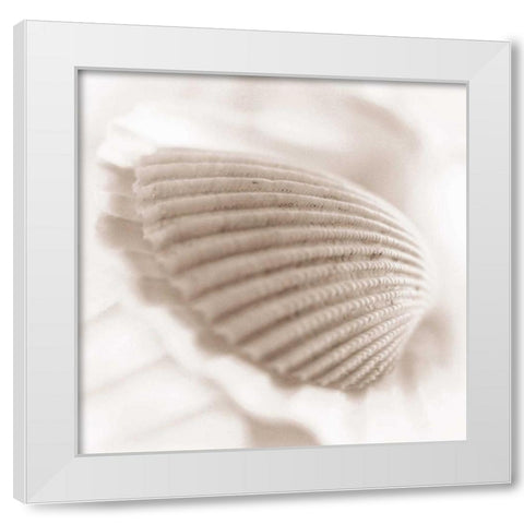 Atlantis 3 White Modern Wood Framed Art Print by Blaustein, Alan