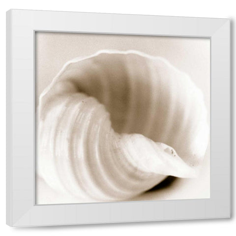 Atlantis 4 White Modern Wood Framed Art Print by Blaustein, Alan