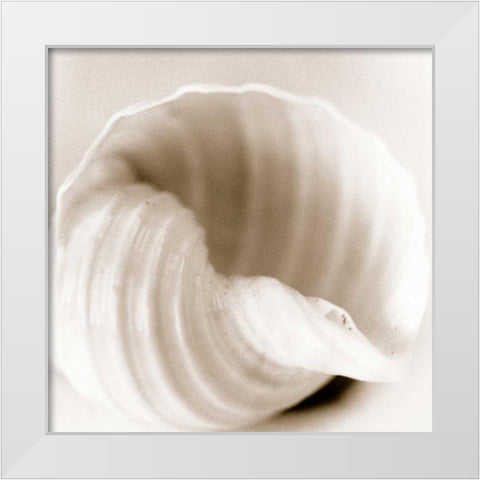 Atlantis 4 White Modern Wood Framed Art Print by Blaustein, Alan