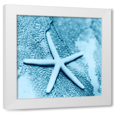 Nautica No2 White Modern Wood Framed Art Print by Blaustein, Alan