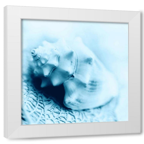 Nautica No4 White Modern Wood Framed Art Print by Blaustein, Alan