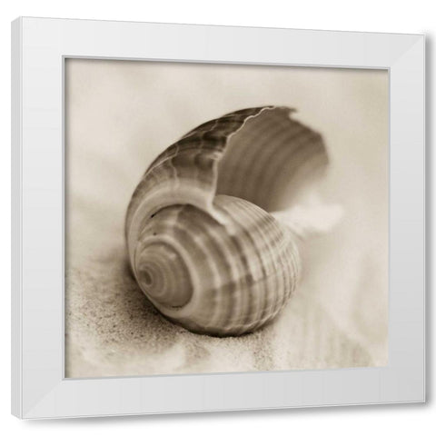 La Playa No3 White Modern Wood Framed Art Print by Blaustein, Alan