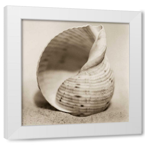 La Playa No4 White Modern Wood Framed Art Print by Blaustein, Alan