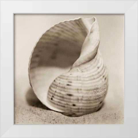 La Playa No4 White Modern Wood Framed Art Print by Blaustein, Alan