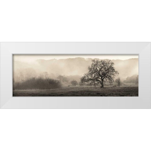 Meadow Oak Tree White Modern Wood Framed Art Print by Blaustein, Alan