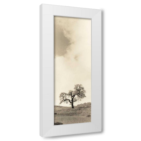 Vintage Oak Tree White Modern Wood Framed Art Print by Blaustein, Alan