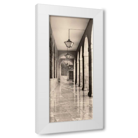 Leon Espana White Modern Wood Framed Art Print by Blaustein, Alan