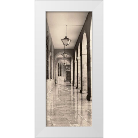 Leon Espana White Modern Wood Framed Art Print by Blaustein, Alan