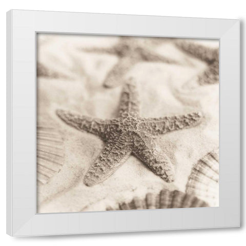 La Mer 2 White Modern Wood Framed Art Print by Blaustein, Alan