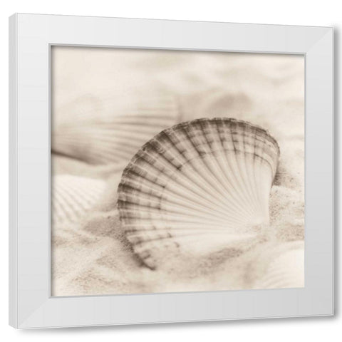 La Mer 3 White Modern Wood Framed Art Print by Blaustein, Alan