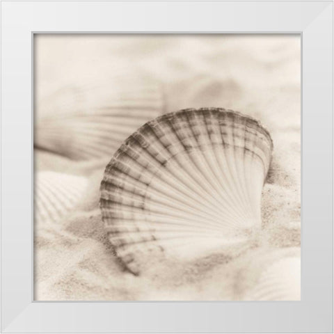 La Mer 3 White Modern Wood Framed Art Print by Blaustein, Alan