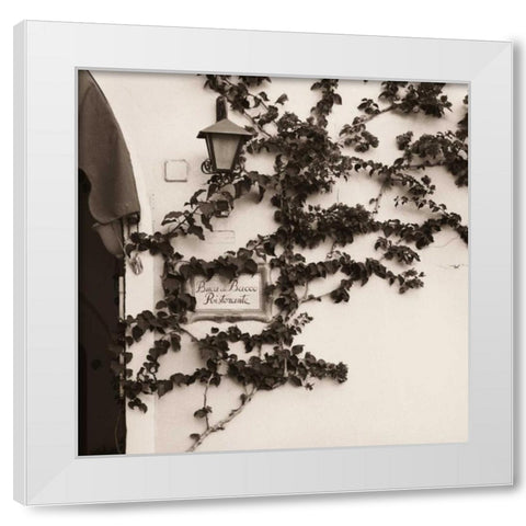 Buca di Bacco Ristorante White Modern Wood Framed Art Print by Blaustein, Alan