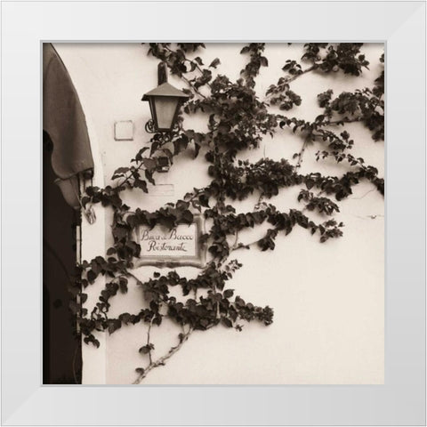 Buca di Bacco Ristorante White Modern Wood Framed Art Print by Blaustein, Alan