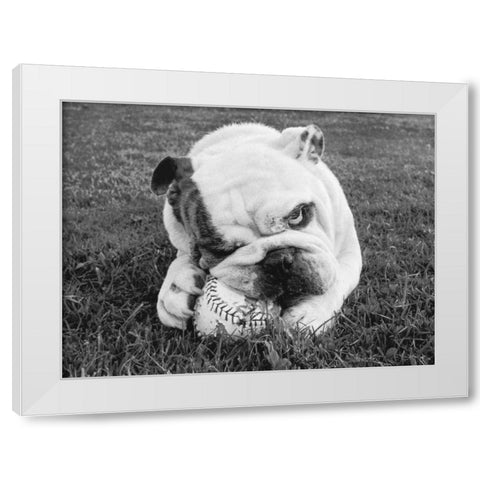 Obsess White Modern Wood Framed Art Print by Beals, Sharon