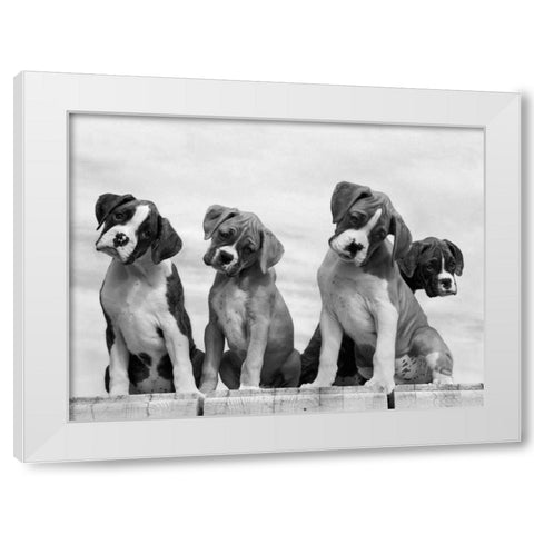 Wonder White Modern Wood Framed Art Print by Beals, Sharon