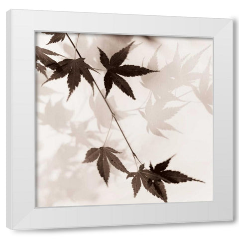 Japanese Maple Leaves No. 1 White Modern Wood Framed Art Print by Blaustein, Alan