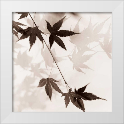 Japanese Maple Leaves No. 1 White Modern Wood Framed Art Print by Blaustein, Alan