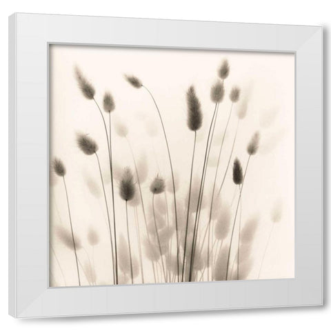 Italian Tall Grass No. 1 White Modern Wood Framed Art Print by Blaustein, Alan