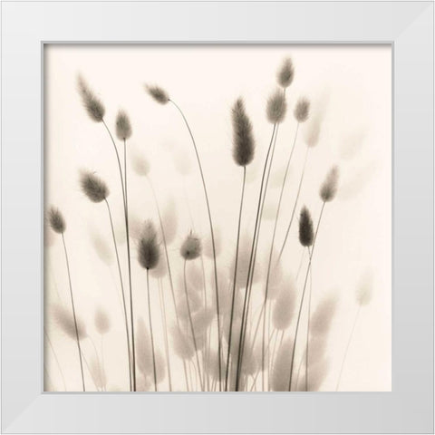 Italian Tall Grass No. 1 White Modern Wood Framed Art Print by Blaustein, Alan