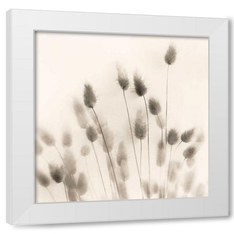 Italian Tall Grass No. 2 White Modern Wood Framed Art Print by Blaustein, Alan