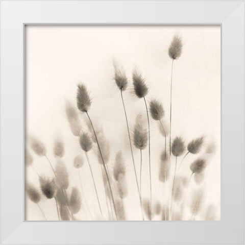 Italian Tall Grass No. 2 White Modern Wood Framed Art Print by Blaustein, Alan