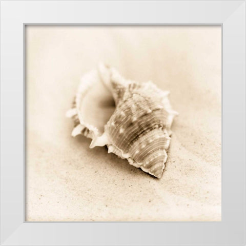 Il Oceano No. 3 White Modern Wood Framed Art Print by Blaustein, Alan