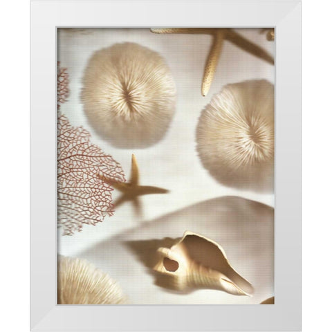 Nautical Illuminations No.1 White Modern Wood Framed Art Print by Blaustein, Alan