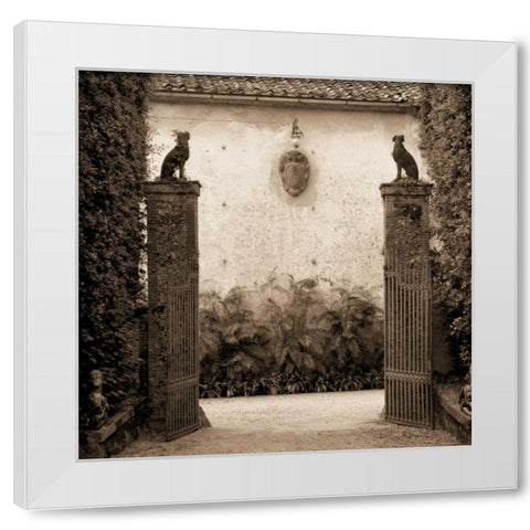 Giardini Ornamentale White Modern Wood Framed Art Print by Blaustein, Alan