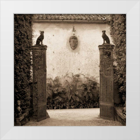 Giardini Ornamentale White Modern Wood Framed Art Print by Blaustein, Alan