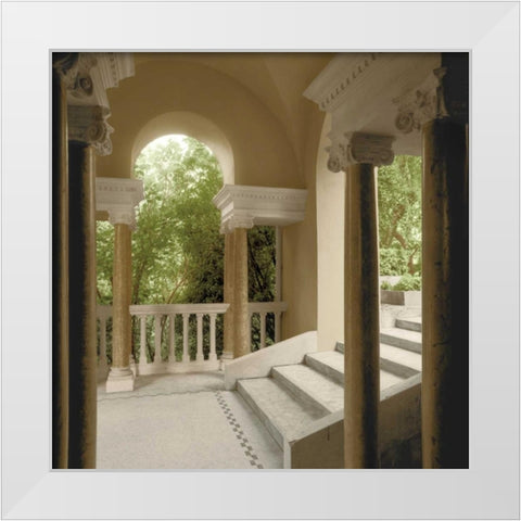 Jardin Portique No. 1 White Modern Wood Framed Art Print by Blaustein, Alan