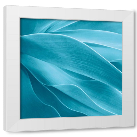 Succulent White Modern Wood Framed Art Print by Bell, Jan