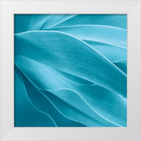 Succulent White Modern Wood Framed Art Print by Bell, Jan