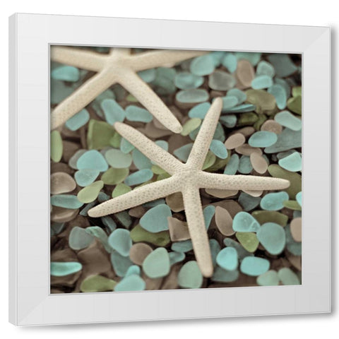 Aquatic 1 White Modern Wood Framed Art Print by Blaustein, Alan