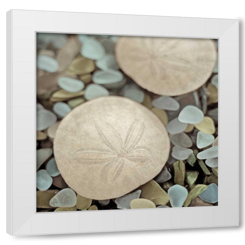 Aquatic 2 White Modern Wood Framed Art Print by Blaustein, Alan