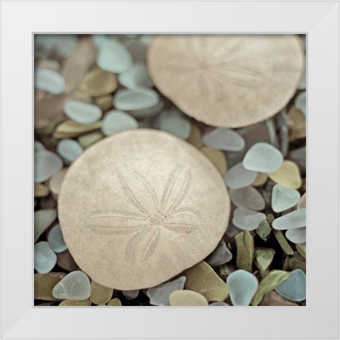 Aquatic 2 White Modern Wood Framed Art Print by Blaustein, Alan