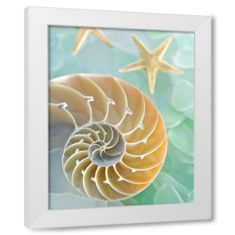 Seaglass 2 White Modern Wood Framed Art Print by Blaustein, Alan