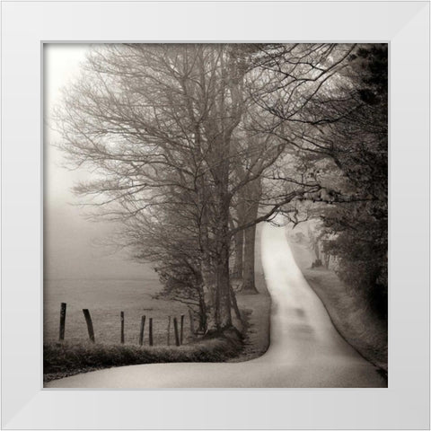 Cades Cove White Modern Wood Framed Art Print by Bell, Nicholas