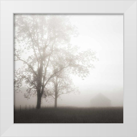 Farmland Appalachia 2013 White Modern Wood Framed Art Print by Bell, Nicholas