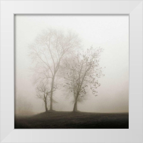 Four Trees in Fog White Modern Wood Framed Art Print by Bell, Nicholas